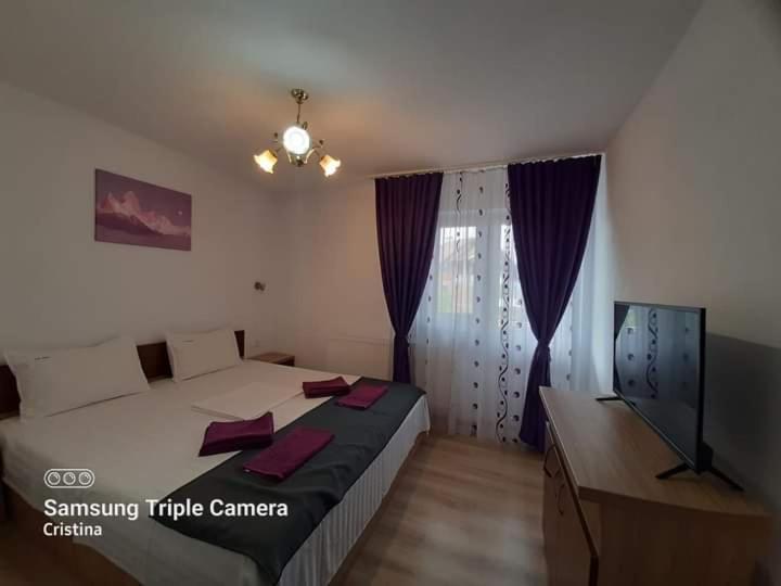 מלון Călimăneşti Casa Trache מראה חיצוני תמונה