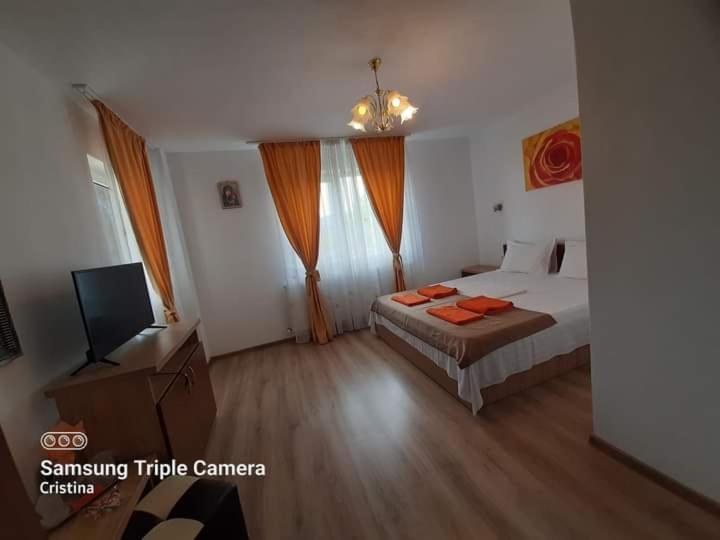 מלון Călimăneşti Casa Trache מראה חיצוני תמונה