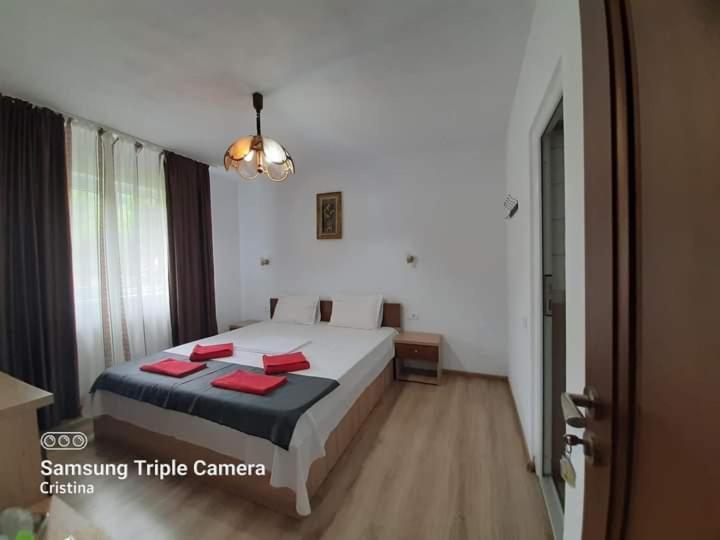 מלון Călimăneşti Casa Trache מראה חיצוני תמונה