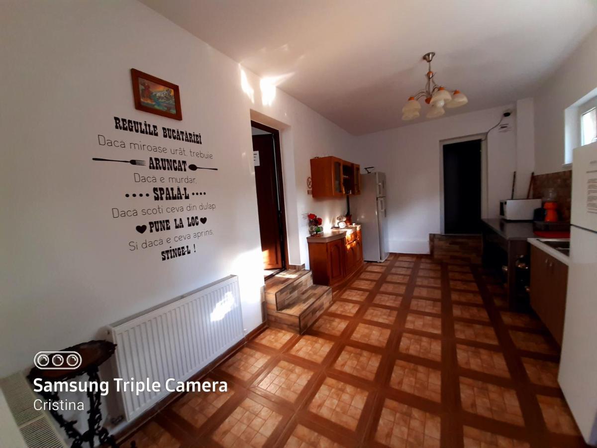 מלון Călimăneşti Casa Trache מראה חיצוני תמונה