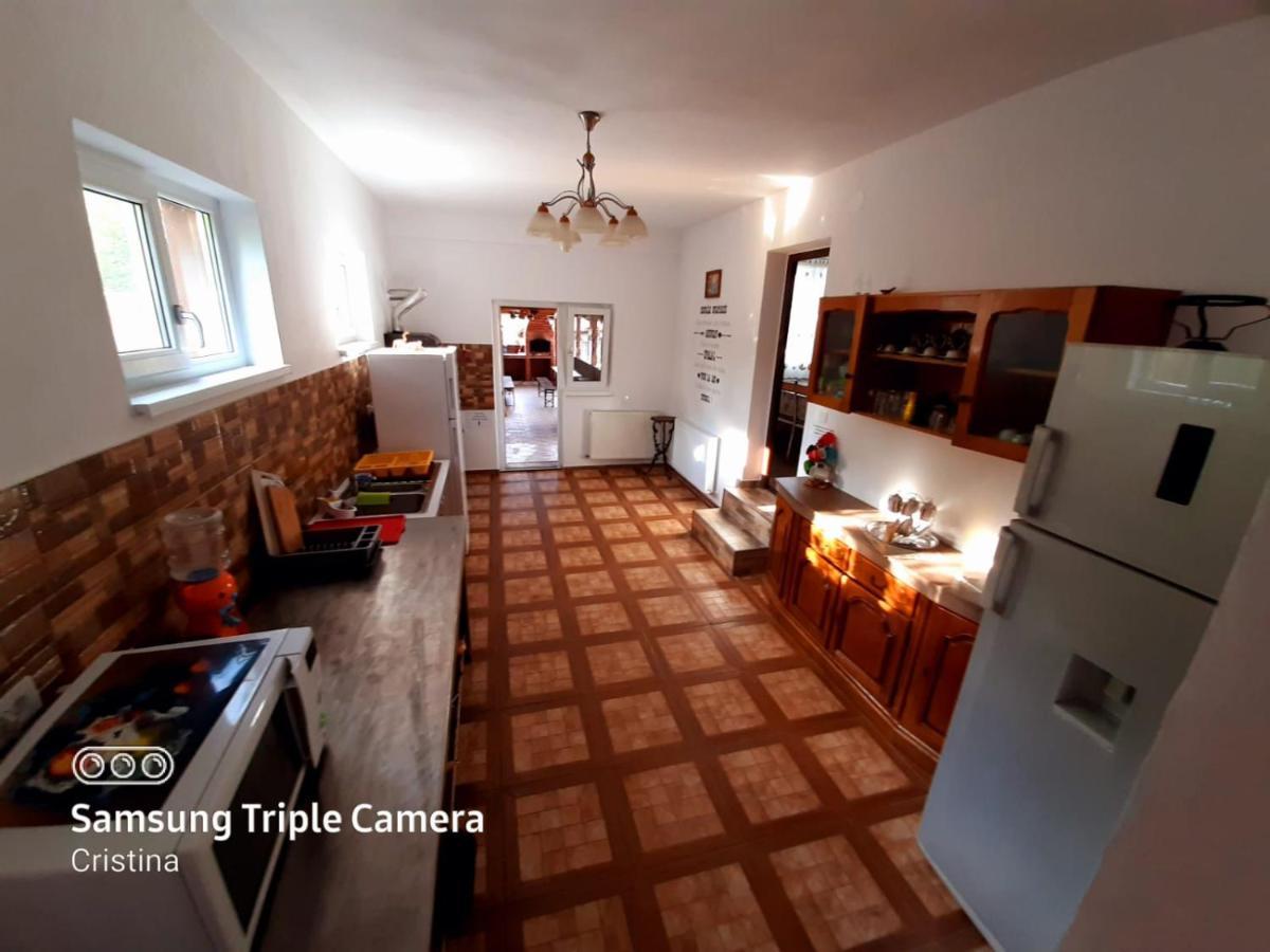 מלון Călimăneşti Casa Trache מראה חיצוני תמונה