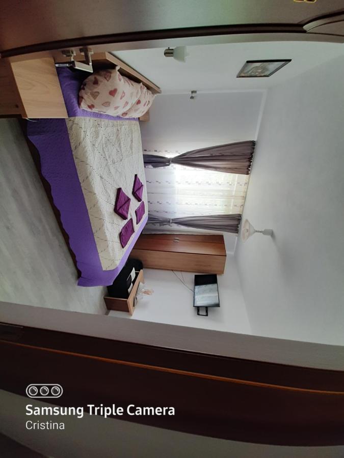 מלון Călimăneşti Casa Trache מראה חיצוני תמונה